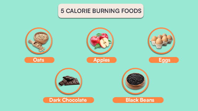 calorie burning foods
