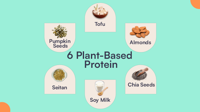 6 Plant-Based Protein