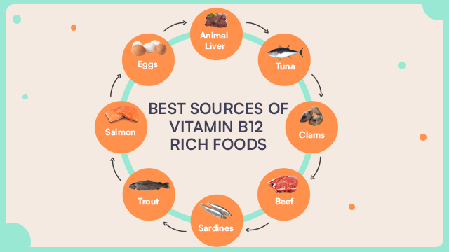 best sources of vitmain b12 rich foods