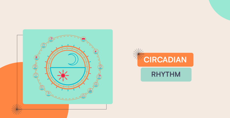 Circadian Rhythm