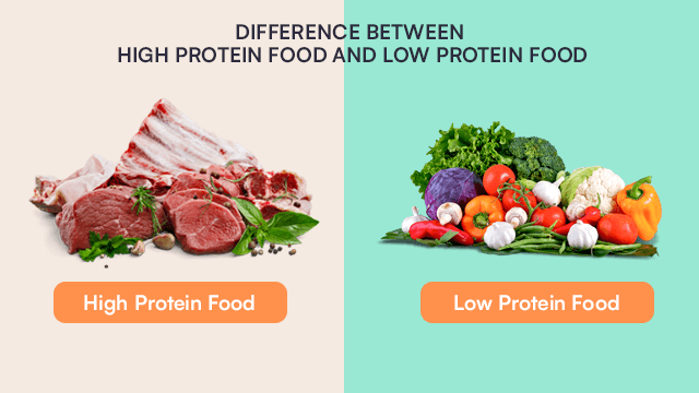 Difference Between High Protein Food And Low Protein Food
