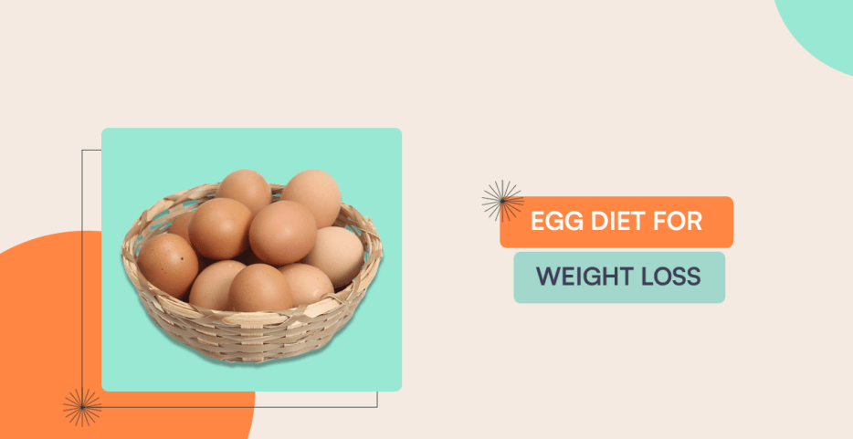 egg diet to lose weight