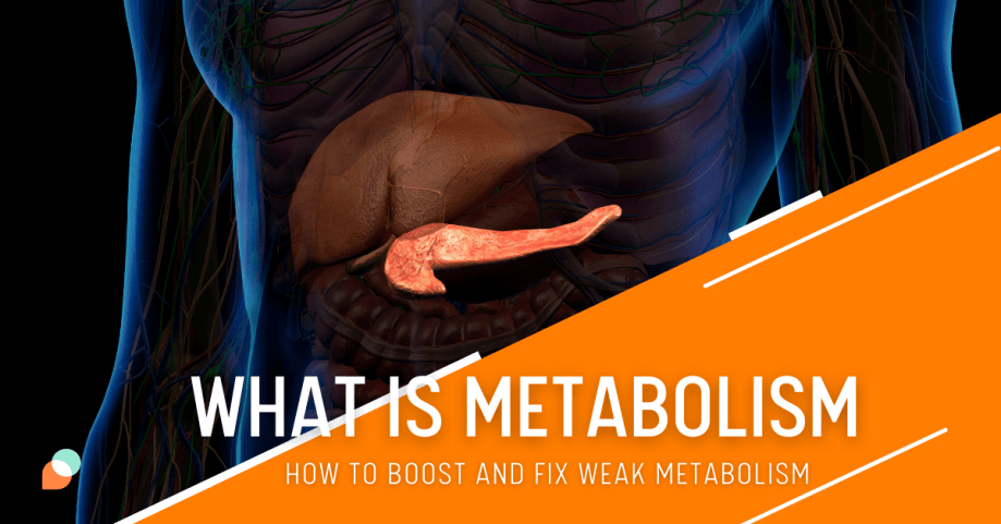 what is metabolism