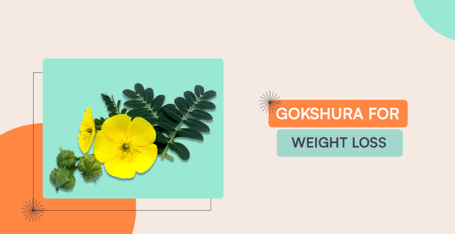 Gokshura Benefits: Natural Herb For Health And Skin