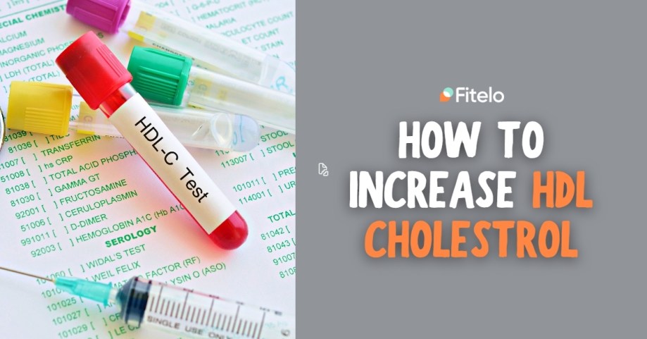 How To Increase HDL Cholesterol