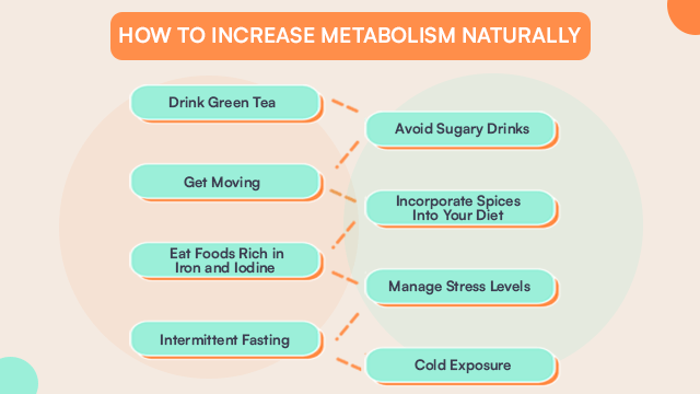 How To Increase Metabolism Naturally