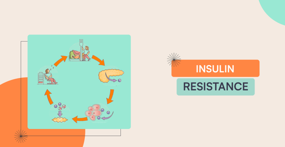 Insulin Resistance