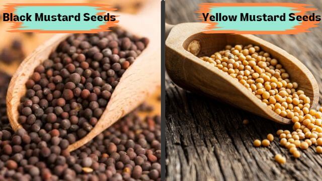 Benefits Of Mustard Seeds