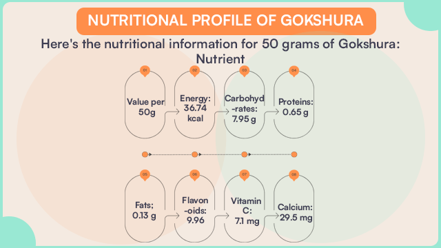 gokshura nutritional profile