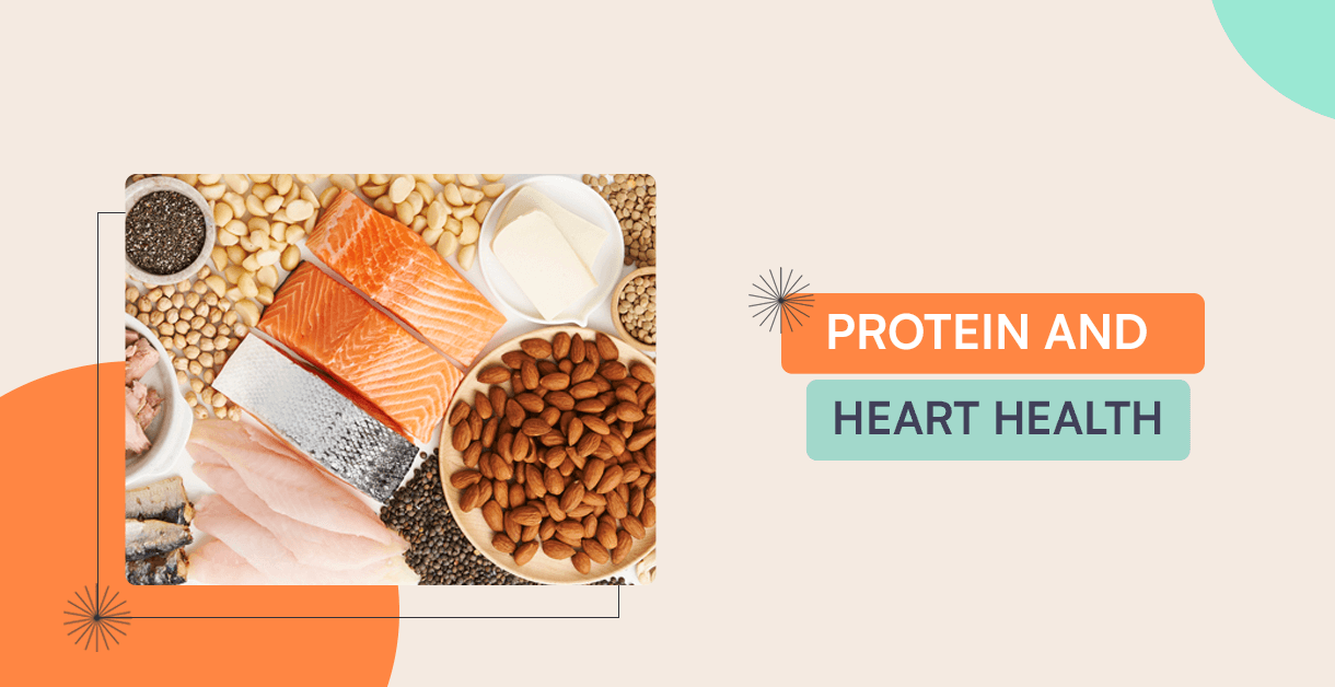 Protein And Heart Health