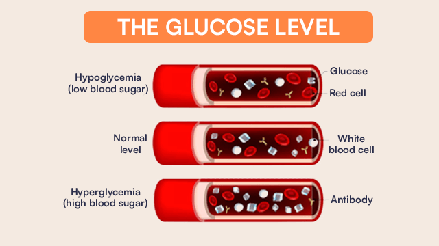 The Glucose Level 