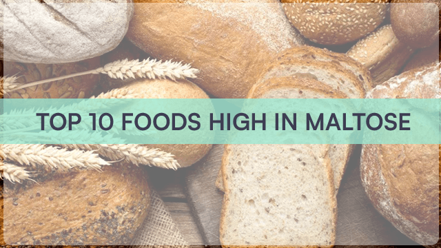 Top 10 Foods High In Maltose