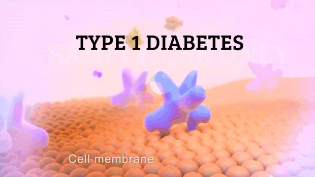 symptoms of diabetes: Type 1 diabetes