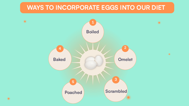 Ways To Incorporate Eggs Into Your Diet