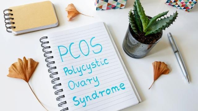 what is seed cycling for PCOS