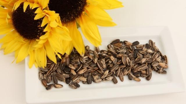 benefits of sunflower seeds