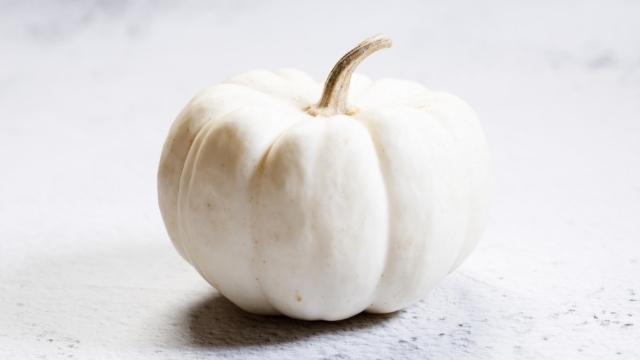 white pumpkin benefits