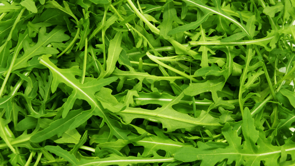 Arugula for weight loss