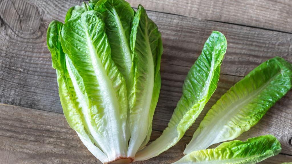 Romaine lettuce greens