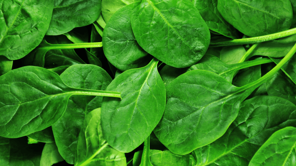 Spinach for weight loss